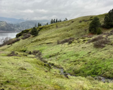 Surviving the High Desert: Skincare for the Columbia River Gorge
