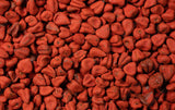 Annatto Seed: Nature’s Secret for a Daytime Glow