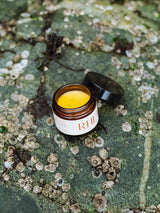 hera grass fed and finished tallow balm that is sourced and made in the PNW